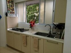 Willyn Ville (D10), Apartment #495660941